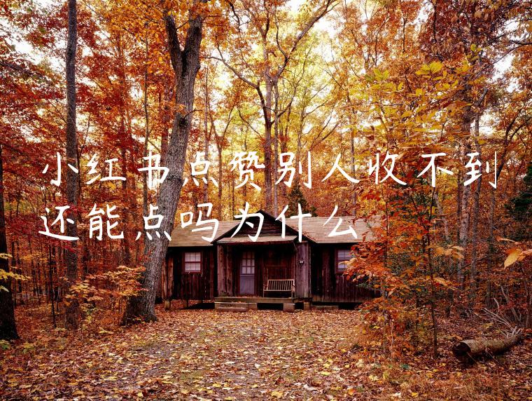 小红书点赞别人收不到还能点吗为什么 小红书点赞别人收不到还能点吗为什么