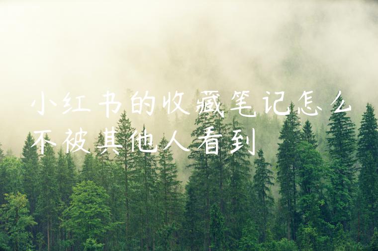 小红书的收藏笔记怎么不被其他人看到