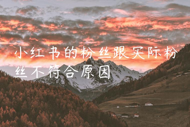 小红书的粉丝跟实际粉丝不符合原因