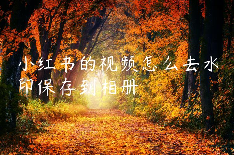 小红书的视频怎么去水印保存到相册