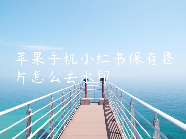 苹果手机小红书保存图片怎么去水印 苹果手机小红书保存图片怎么去水印