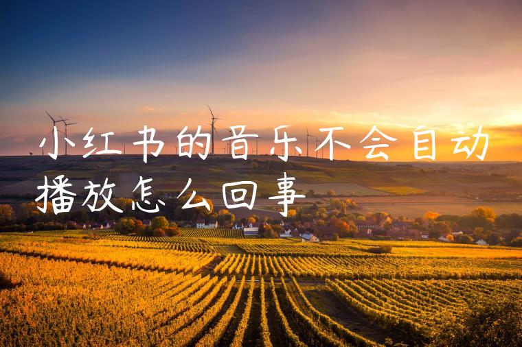 小红书的音乐不会自动播放怎么回事 小红书的音乐不会自动播放怎么回事