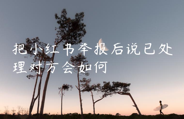 把小红书举报后说已处理对方会如何 把小红书举报后说已处理对方会如何