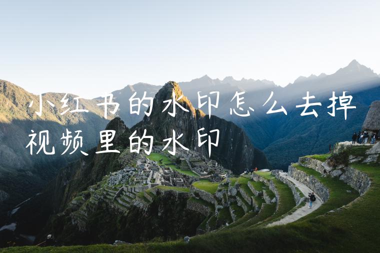 小红书的水印怎么去掉视频里的水印