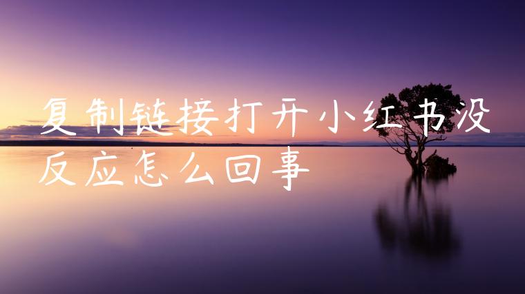 复制链接打开小红书没反应怎么回事 复制链接打开小红书没反应怎么回事