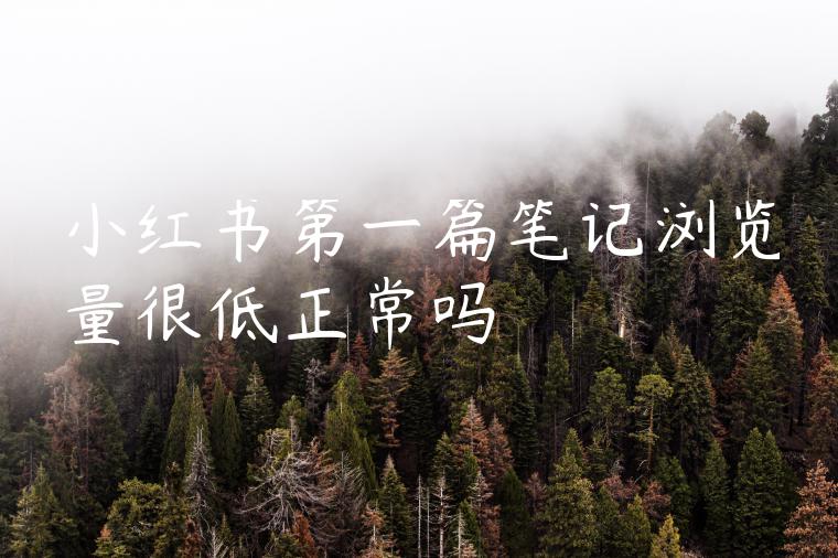 小红书第一篇笔记浏览量很低正常吗