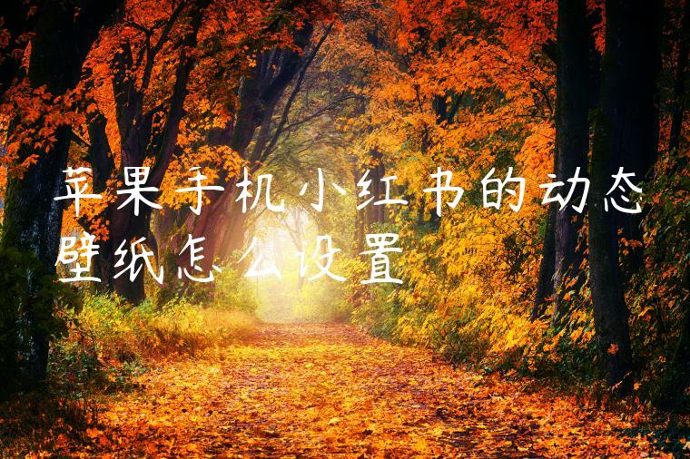 苹果手机小红书的动态壁纸怎么设置 苹果手机小红书的动态壁纸怎么设置