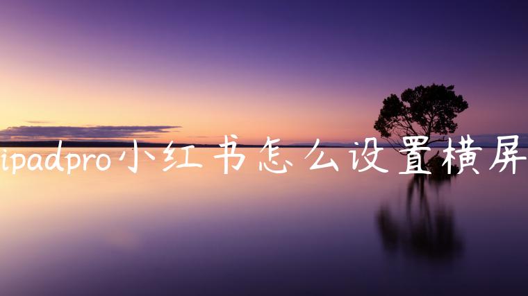 ipadpro小红书怎么设置横屏