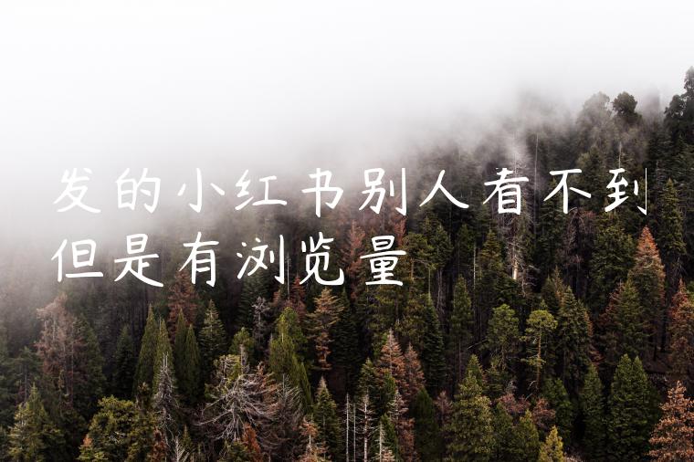 发的小红书别人看不到但是有浏览量 发的小红书别人看不到但是有浏览量