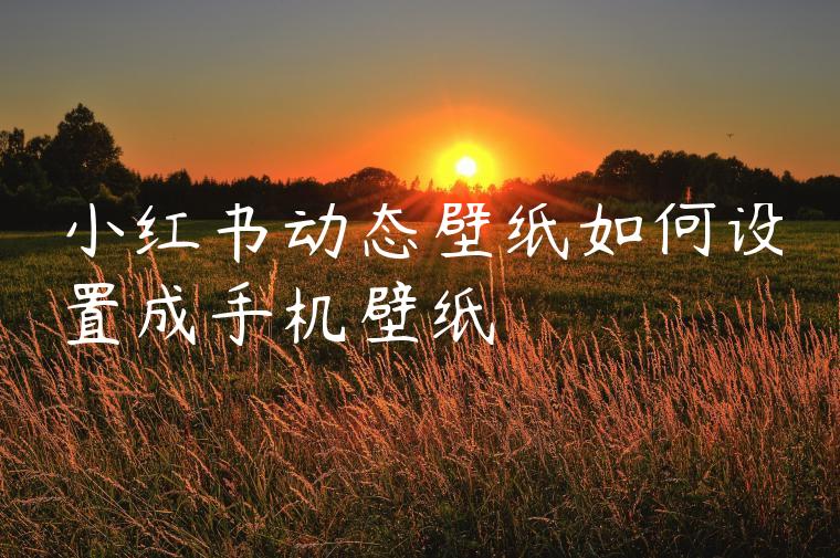 小红书动态壁纸如何设置成手机壁纸