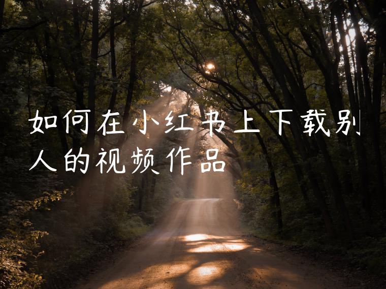 如何在小红书上下载别人的视频作品 如何在小红书上下载别人的视频作品