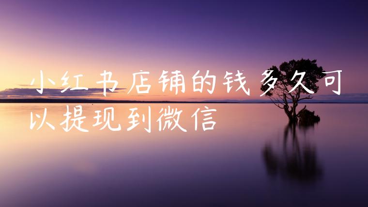 小红书店铺的钱多久可以提现到微信
