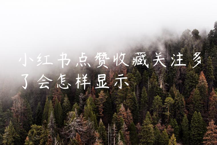 小红书点赞收藏关注多了会怎样显示 小红书点赞收藏关注多了会怎样显示