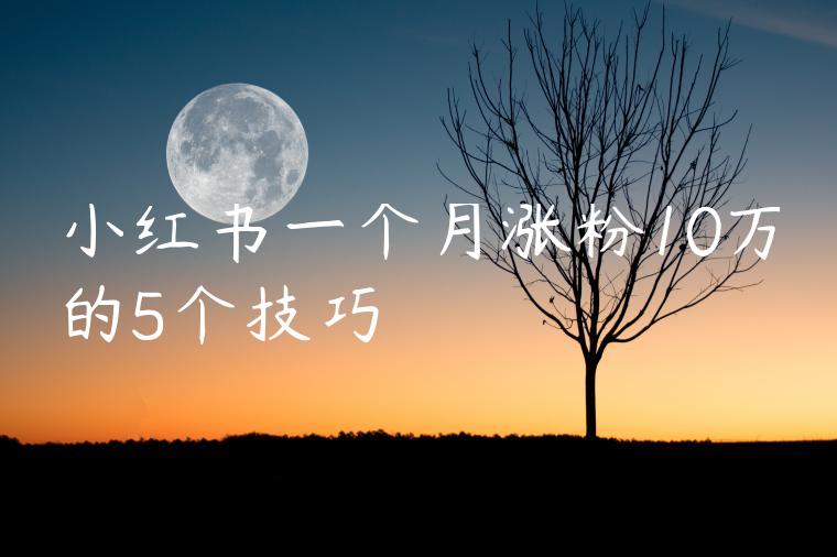 小红书一个月涨粉10万的5个技巧 小红书一个月涨粉10万的5个技巧