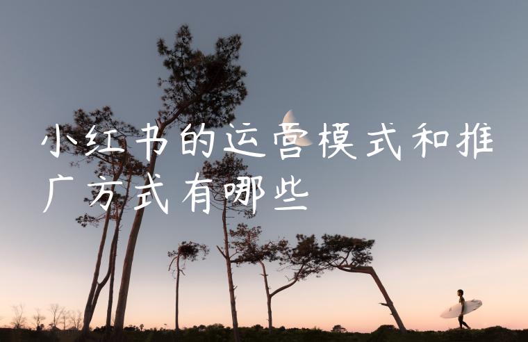 小红书的运营模式和推广方式有哪些