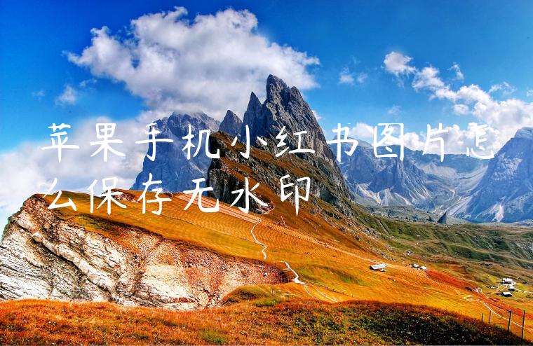 苹果手机小红书图片怎么保存无水印