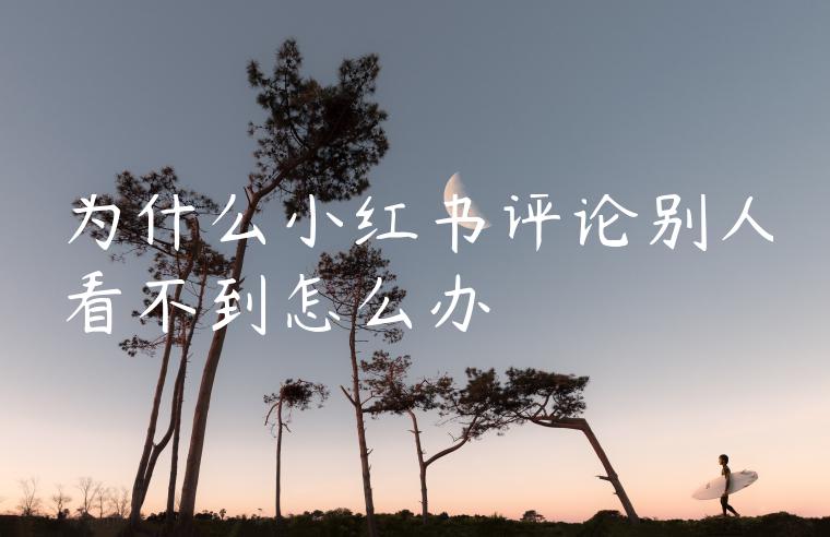 为什么小红书评论别人看不到怎么办 为什么小红书评论别人看不到怎么办