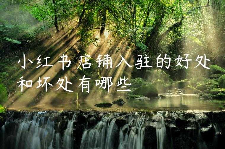 小红书店铺入驻的好处和坏处有哪些