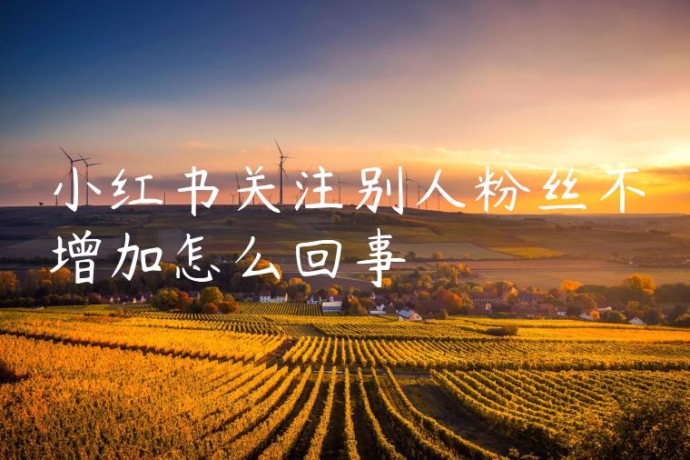 小红书关注别人粉丝不增加怎么回事