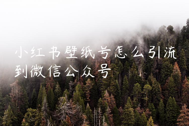 小红书壁纸号怎么引流到微信公众号 小红书壁纸号怎么引流到微信公众号