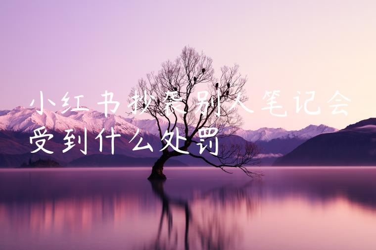 小红书抄袭别人笔记会受到什么处罚