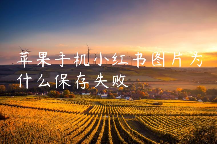 苹果手机小红书图片为什么保存失败 苹果手机小红书图片为什么保存失败