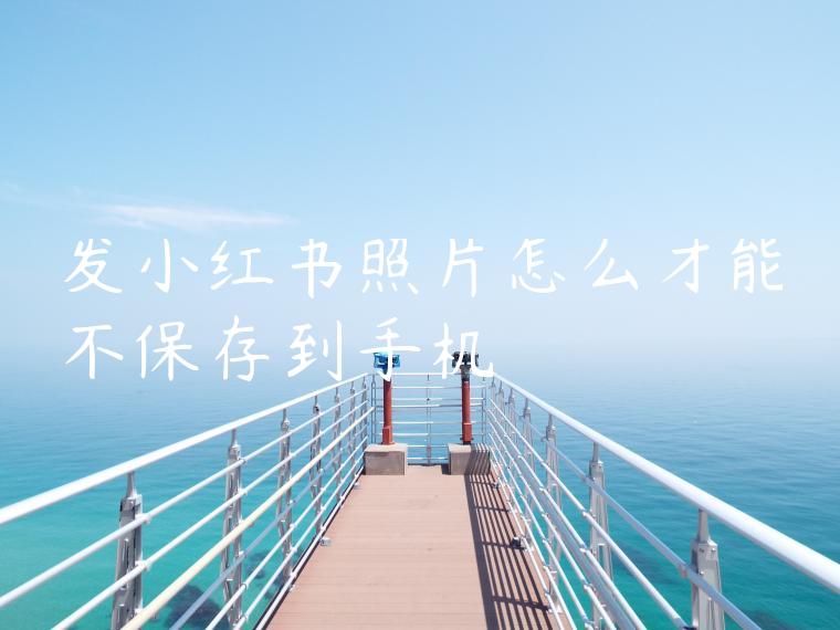 发小红书照片怎么才能不保存到手机 发小红书照片怎么才能不保存到手机