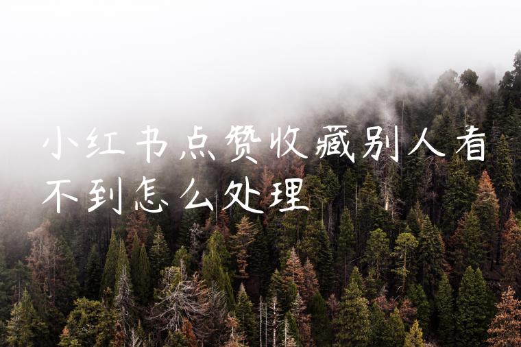 小红书点赞收藏别人看不到怎么处理