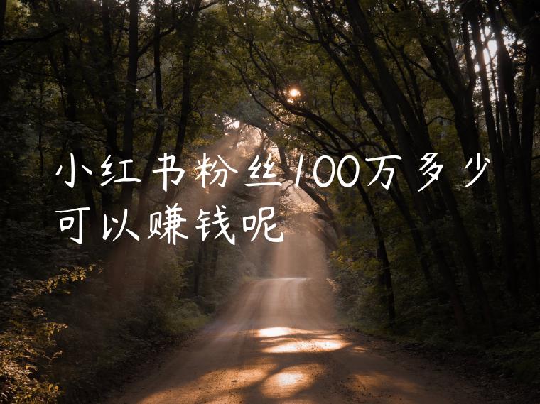 小红书粉丝100万多少可以赚钱呢