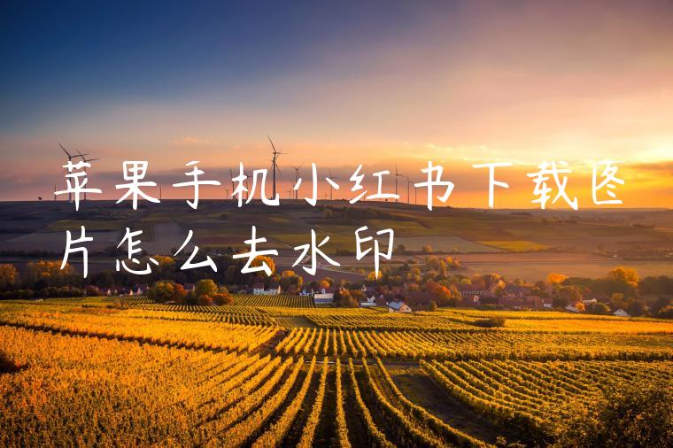 苹果手机小红书下载图片怎么去水印