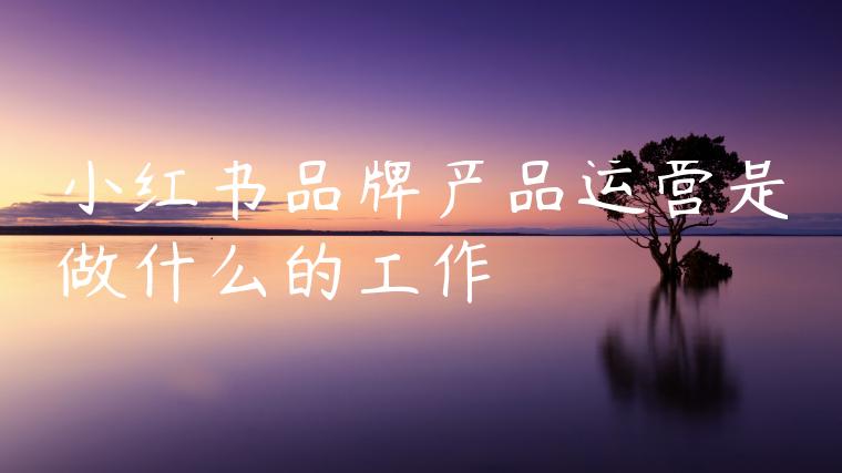 小红书品牌产品运营是做什么的工作 小红书品牌产品运营是做什么的工作