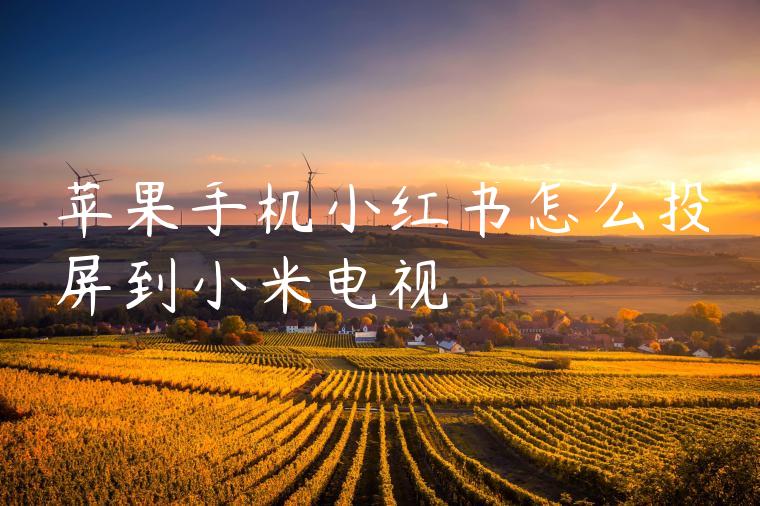 苹果手机小红书怎么投屏到小米电视