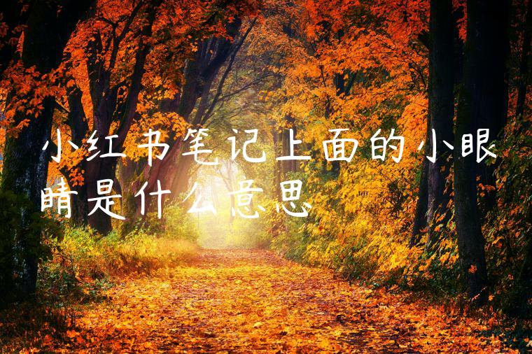 小红书笔记上面的小眼睛是什么意思 小红书笔记上面的小眼睛是什么意思