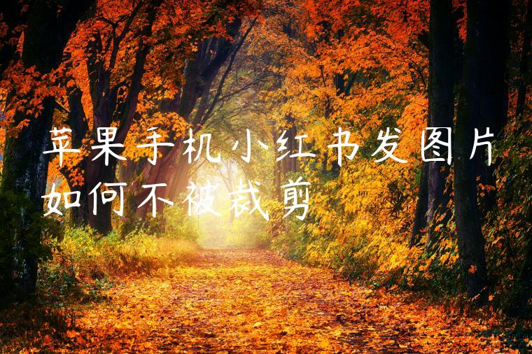 苹果手机小红书发图片如何不被裁剪