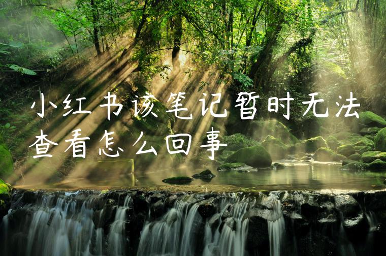 小红书该笔记暂时无法查看怎么回事