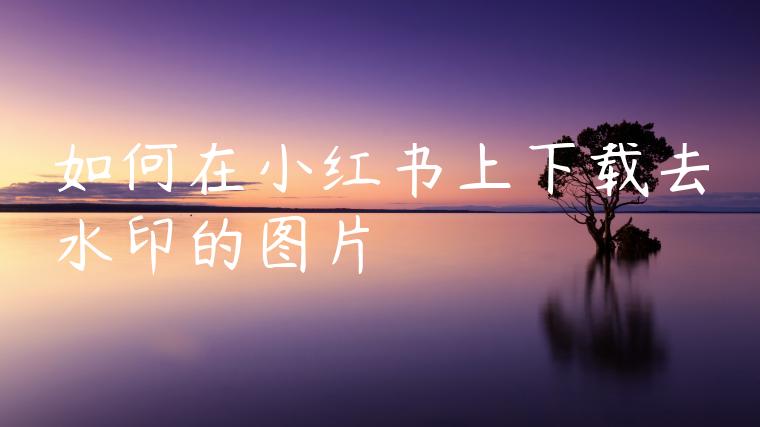 如何在小红书上下载去水印的图片