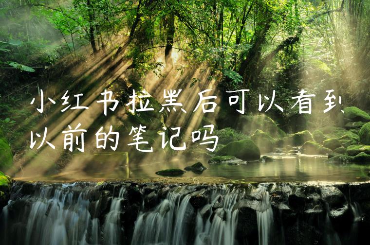 小红书拉黑后可以看到以前的笔记吗