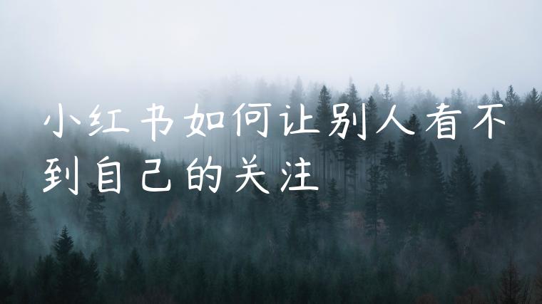 小红书如何让别人看不到自己的关注 小红书如何让别人看不到自己的关注