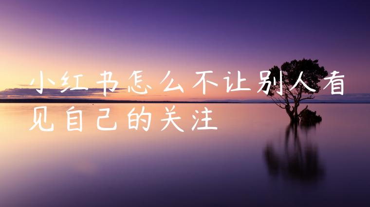 小红书怎么不让别人看见自己的关注 小红书怎么不让别人看见自己的关注