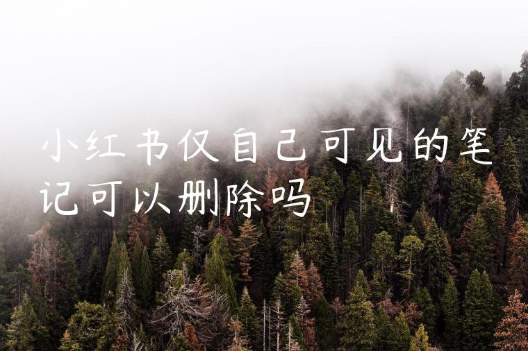 小红书仅自己可见的笔记可以删除吗 小红书仅自己可见的笔记可以删除吗
