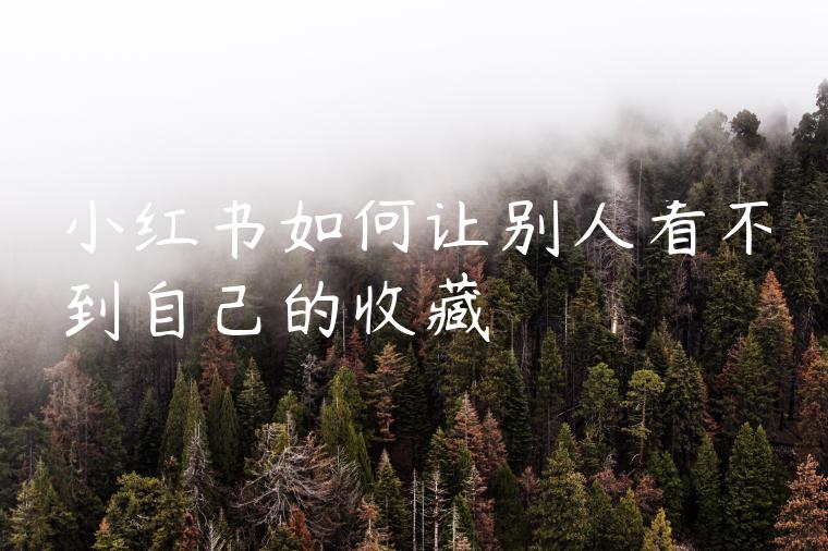 小红书如何让别人看不到自己的收藏 小红书如何让别人看不到自己的收藏