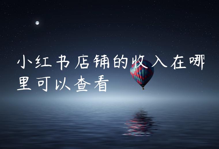 小红书店铺的收入在哪里可以查看
