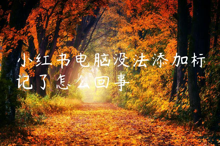 小红书电脑没法添加标记了怎么回事