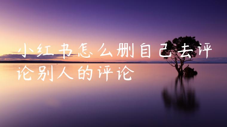 小红书怎么删自己去评论别人的评论