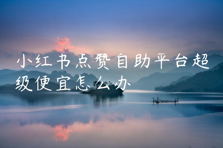 小红书点赞自助平台超级便宜怎么办 小红书点赞自助平台超级便宜怎么办