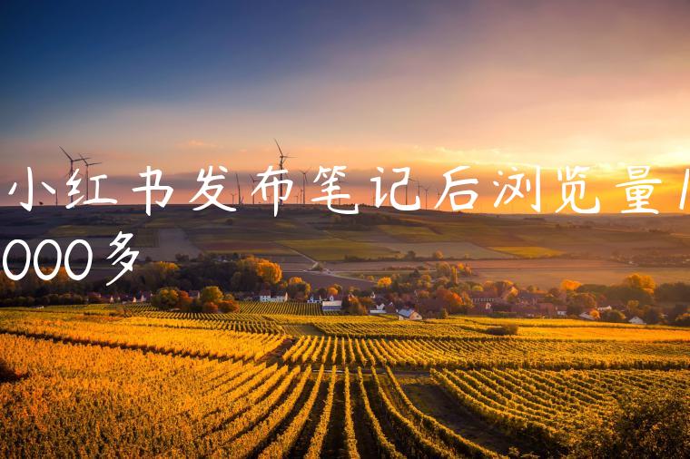 小红书发布笔记后浏览量1000多