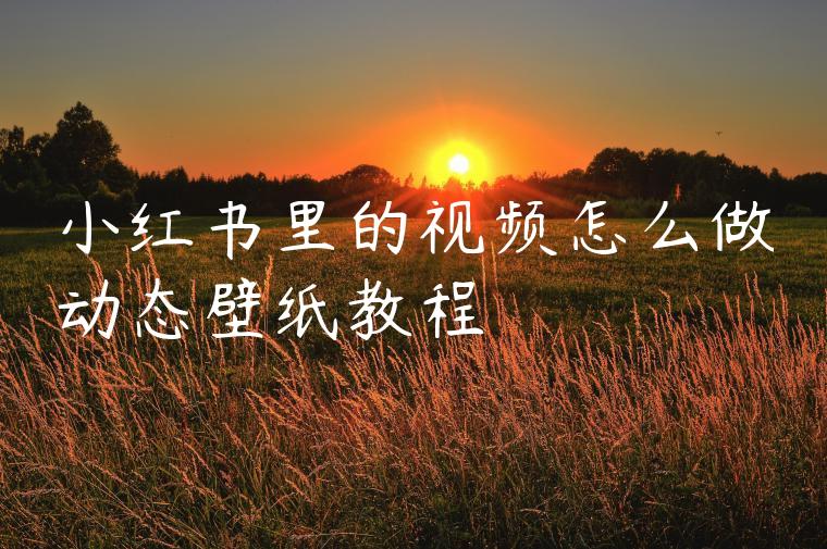 小红书里的视频怎么做动态壁纸教程 小红书里的视频怎么做动态壁纸教程