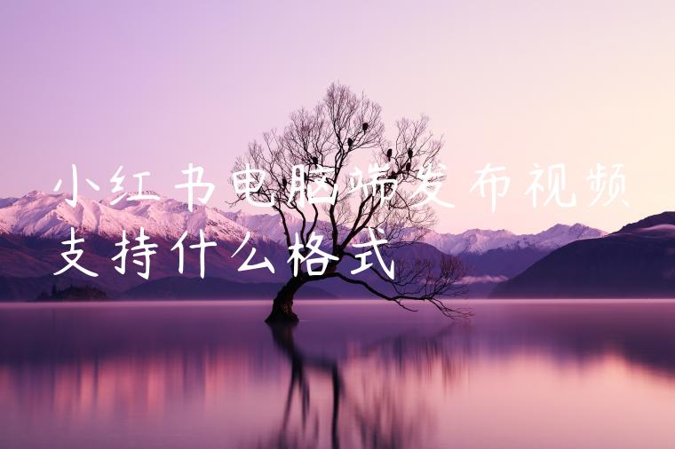 小红书电脑端发布视频支持什么格式