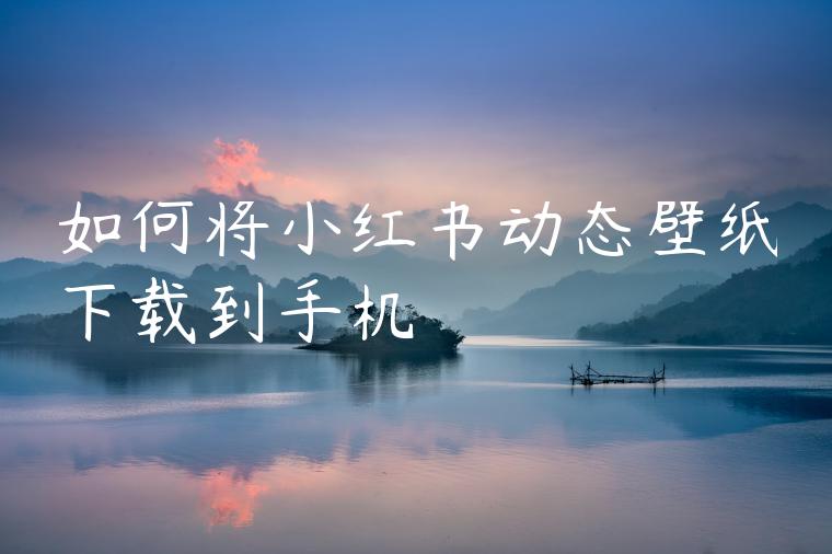 如何将小红书动态壁纸下载到手机 如何将小红书动态壁纸下载到手机