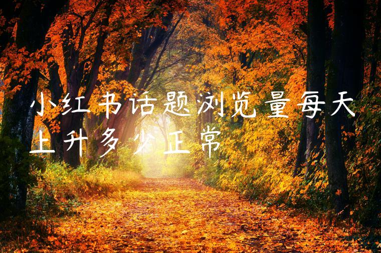 小红书话题浏览量每天上升多少正常